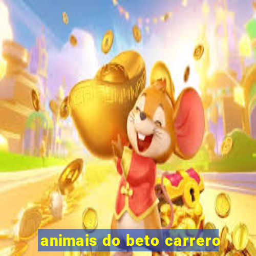 animais do beto carrero